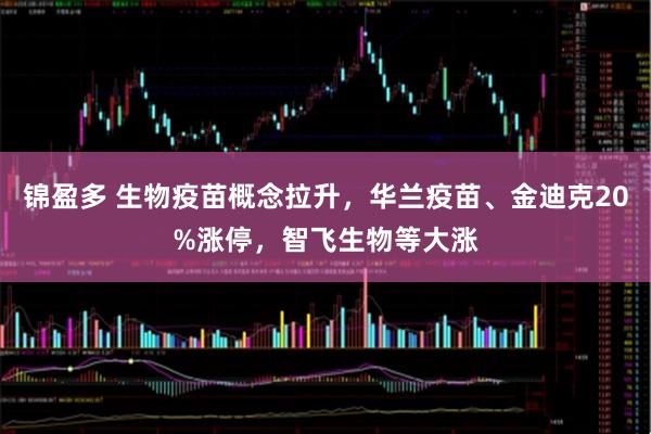 锦盈多 生物疫苗概念拉升，华兰疫苗、金迪克20%涨停，智飞生物等大涨