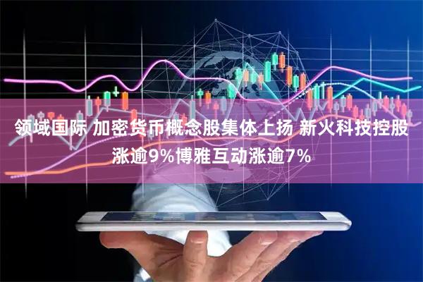 领域国际 加密货币概念股集体上扬 新火科技控股涨逾9%博雅互动涨逾7%