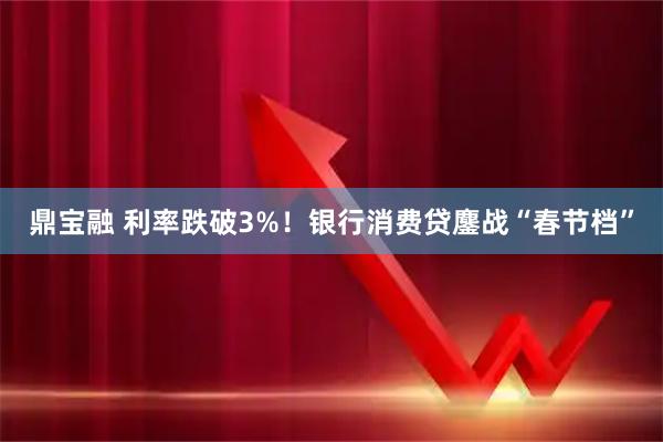 鼎宝融 利率跌破3%！银行消费贷鏖战“春节档”