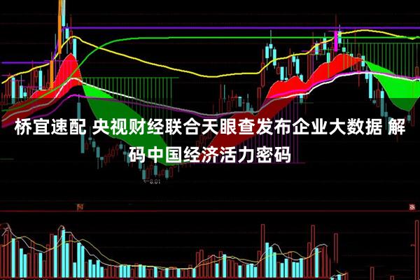 桥宜速配 央视财经联合天眼查发布企业大数据 解码中国经济活力密码