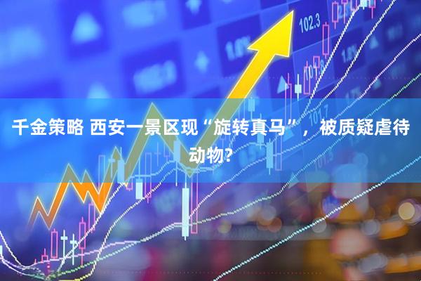 千金策略 西安一景区现“旋转真马”，被质疑虐待动物?
