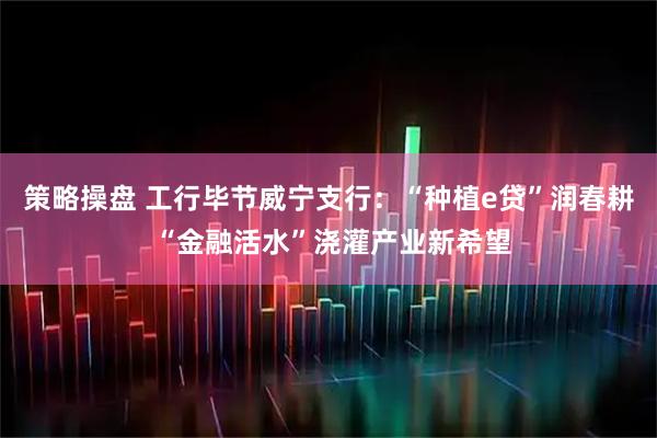 策略操盘 工行毕节威宁支行：“种植e贷”润春耕 “金融活水”浇灌产业新希望