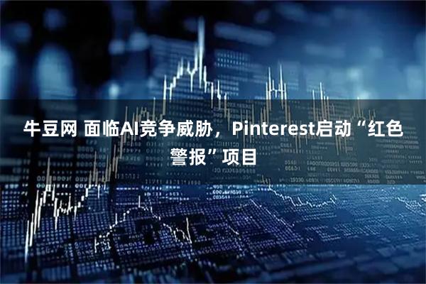 牛豆网 面临AI竞争威胁，Pinterest启动“红色警报”项目