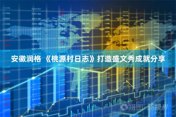 安徽润格 《桃源村日志》打造盛文秀成就分享