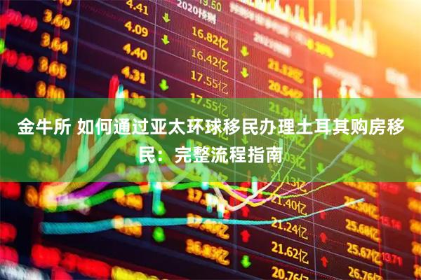 金牛所 如何通过亚太环球移民办理土耳其购房移民：完整流程指南